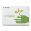 Seed Paper Card - Large